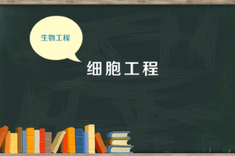 一分鐘了解<em>細(xì)胞</em>工程