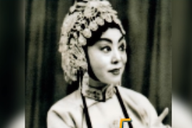 一分鐘了解喜彩蓮