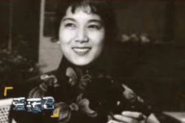 一分鐘了解愛蓮君