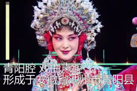 一分鐘了解青陽<em>腔</em>