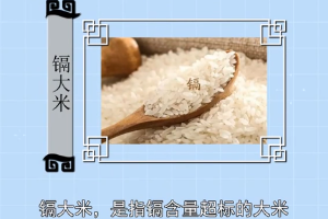 鎘大米—鎘含量<em>超標(biāo)</em>的大米
