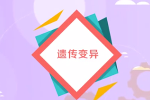 <em>生物學</em><em>術語</em>—遺傳變異