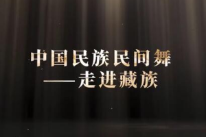 微課：早期教育、學(xué)前教育專業(yè)《舞蹈基礎(chǔ)—走進藏族民間舞之顫膝》