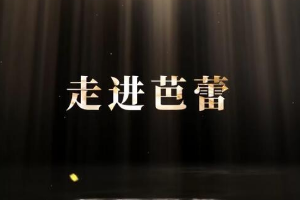 <em>微</em><em>課</em>：<em>早期教育</em>、<em>學前教育</em><em>專業</em>《<em>舞蹈</em><em>基礎</em>—<em>走進</em>芭蕾舞》