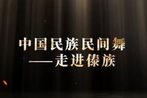 微課：早期教育、學前教育專業《舞蹈基礎—走進傣族民間舞之三道彎》