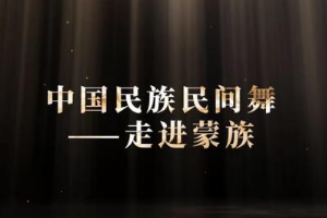 微課：早期教育、學前教育專業《舞蹈基礎—走進蒙族民間舞之柔臂》