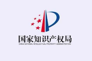 我與知識(shí)產(chǎn)權(quán)強(qiáng)國(guó)建設(shè)