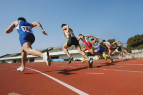 <em>運動</em><em>訓練</em>—田徑（<em>圖</em><em>2</em>）