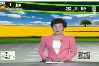 生豬養(yǎng)殖效益如何再提升？抓好這三個(gè)時(shí)期很重要