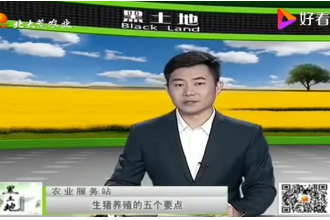 想要豬長膘快，<em>生豬</em>育肥<em>的</em><em>這</em>五個技術<em>要點</em>要記牢了