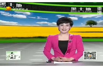 <em>母豬</em>妊娠期<em>的</em><em>飼養(yǎng)</em>和<em>管理</em>方法
