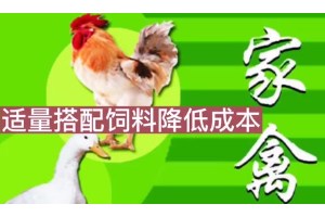 怎樣飼養<em>家禽</em>？才能真正有效地降低<em>養殖</em>成本？