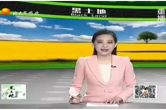 哺乳仔豬怎么養？農業服務站為您帶來飼養哺乳仔豬的技術要點