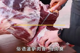 俗語道“驢肉香，馬肉臭，餓死不吃<em>騾子</em>肉”，為什么不吃<em>騾</em>肉呢？
