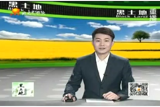 <em>怎樣</em><em>才能</em>做到種公豬的科學合理<em>飼養</em>？專家提出了這些技術要點