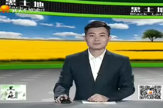生豬養殖<em>需要</em><em>注意</em>的要點都有<em>哪些</em>？這幾個方面很重要