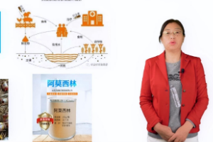 <em>微</em><em>課</em>：畜牧獸醫(yī)專業(yè)《<em>動物</em>環(huán)境衛(wèi)生—飼料污染<em>與</em>控制》