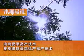 夏季肉雞和蛋雞<em>高產(chǎn)</em>飼養(yǎng)<em>管理</em><em>技術</em> (上集)