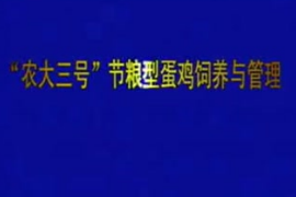 “農大三號”節糧型<em>蛋雞</em><em>飼養</em>與<em>管理</em>