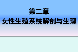 <em>課件</em>：《<em>婦產科</em><em>護理學</em>—第二章 女性生殖系統解剖與生理》
