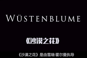 《沙漠<em>之</em>花》走出沙漠<em>的</em>鏗鏘玫瑰