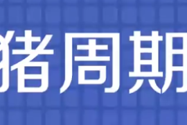 一分鐘了解豬周期