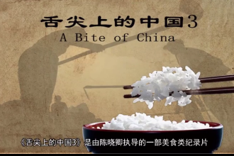 <em>帶你</em>快速<em>了解</em><em>舌尖</em><em>上</em><em>的</em><em>中國</em>3