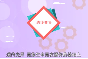 <em>生物學</em><em>術語</em>—遺傳變異