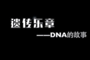 遺傳樂(lè)章—DNA的故事
