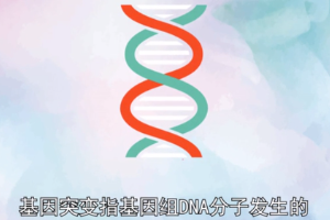 基因突變—指基因在結構上發生堿基對組成或排列順序的改變