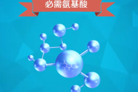 一分鐘了解人體必需氨基酸