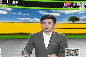 養(yǎng)豬寶典：后備母豬的飼養(yǎng)管理