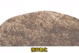<em>秸稈</em>氨化
