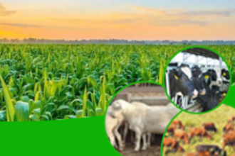 動物科學<em>專業</em>：《畜牧<em>微生物</em>學》<em>課程</em><em>思</em>政大綱