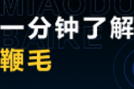 一分鐘了解鞭毛