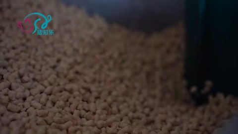 如何鑒別摻假魚粉？