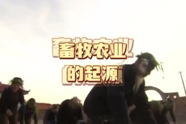畜牧農業<em>的</em><em>起源</em>