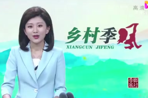 如何<em>對</em>畜禽<em>的</em>糞污<em>進行</em>無害化處理？專家實地<em>進行</em>支招