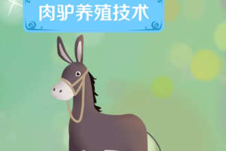 一分鐘<em>了解</em><em>肉</em><em>驢</em>養殖技術