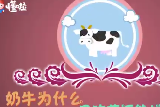 奶牛為什么只吃草還能增肌呢？