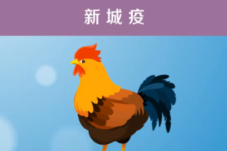 一分鐘了解新城疫