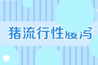 一分鐘了解<em>豬</em>流行性腹瀉