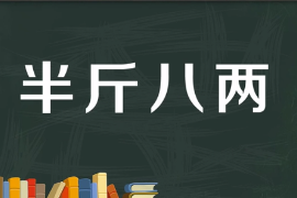 一分鐘了解半斤八兩成語
