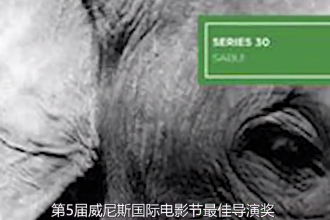 帶您了解羅伯特·弗拉哈迪