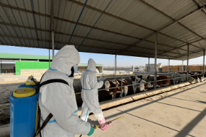 <em>課程標準</em>：<em>動物</em><em>醫學專業</em>《<em>動物</em>防疫與檢疫》<em>課程標準</em>