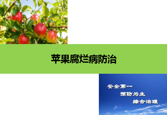 微課：園藝技術專業《果樹生產創新模塊—蘋果腐爛病防治》