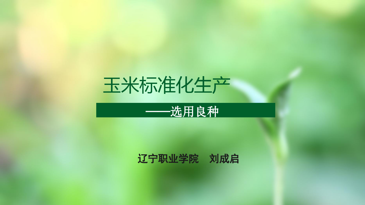 <em>課件</em>：<em>作物</em><em>生產</em><em>與</em><em>經營管理</em><em>專業</em>《<em>玉米</em><em>標準化</em><em>生產</em>—選用良種》