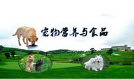 <em>寵物</em>養護與馴導專業：《<em>寵物</em>營養與食品》<em>課程</em><em>思</em><em>政</em><em>課堂教學</em><em>設計</em>