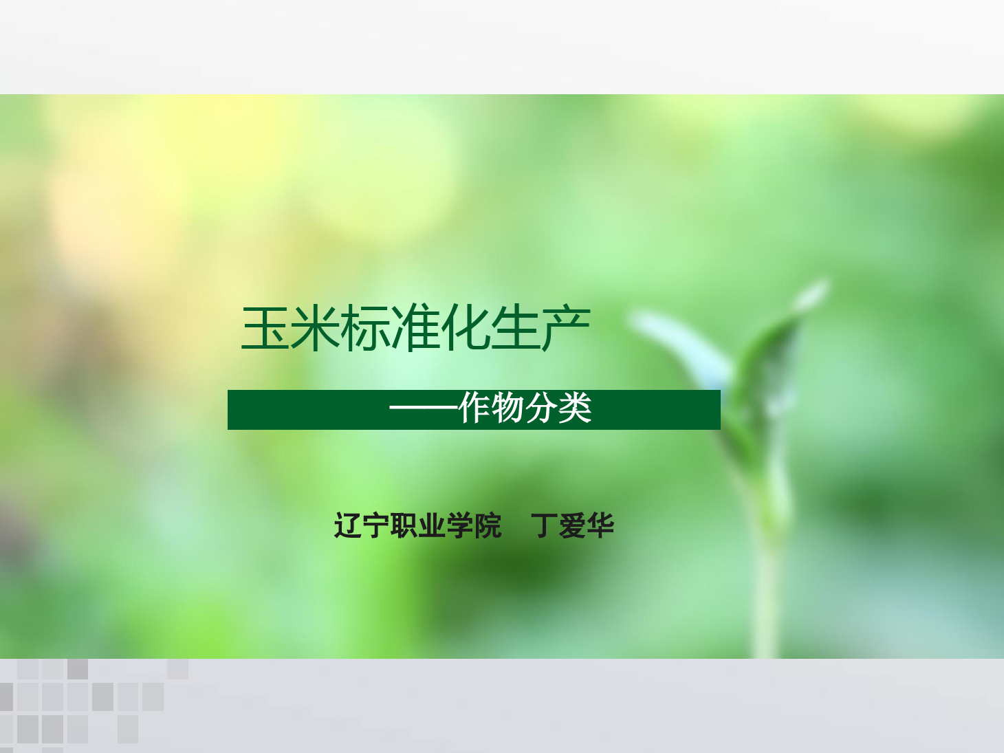 課件：作物生產(chǎn)與經(jīng)營(yíng)管理專業(yè)《玉米標(biāo)準(zhǔn)化生產(chǎn)—作物分類》
