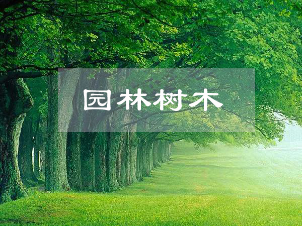 <em>園林</em><em>工程技術</em>、<em>園林</em>技術<em>專業</em>：《<em>園林</em><em>樹木</em>》<em>課程</em><em>思</em><em>政</em><em>課堂教學</em><em>設計</em>